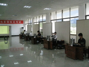 20090520第38届泡茶师考试在漳州科技学院茶文化系(背景灰轴)