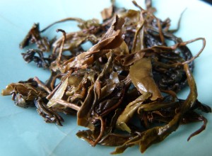 现代茶思想武夷茶.龙凤团茶e