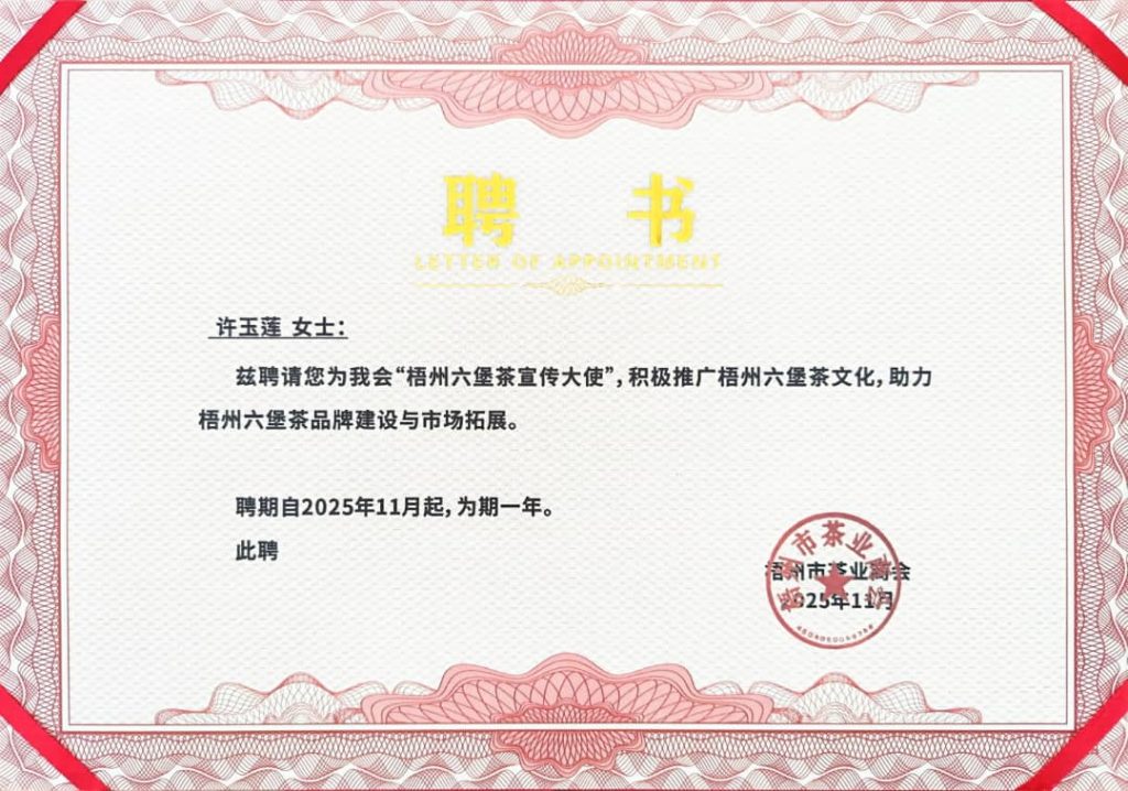 This image has an empty alt attribute; its file name is WhatsApp-Image-2025-11-15-at-01.16.41_63577bcd-2-1024x718.jpg